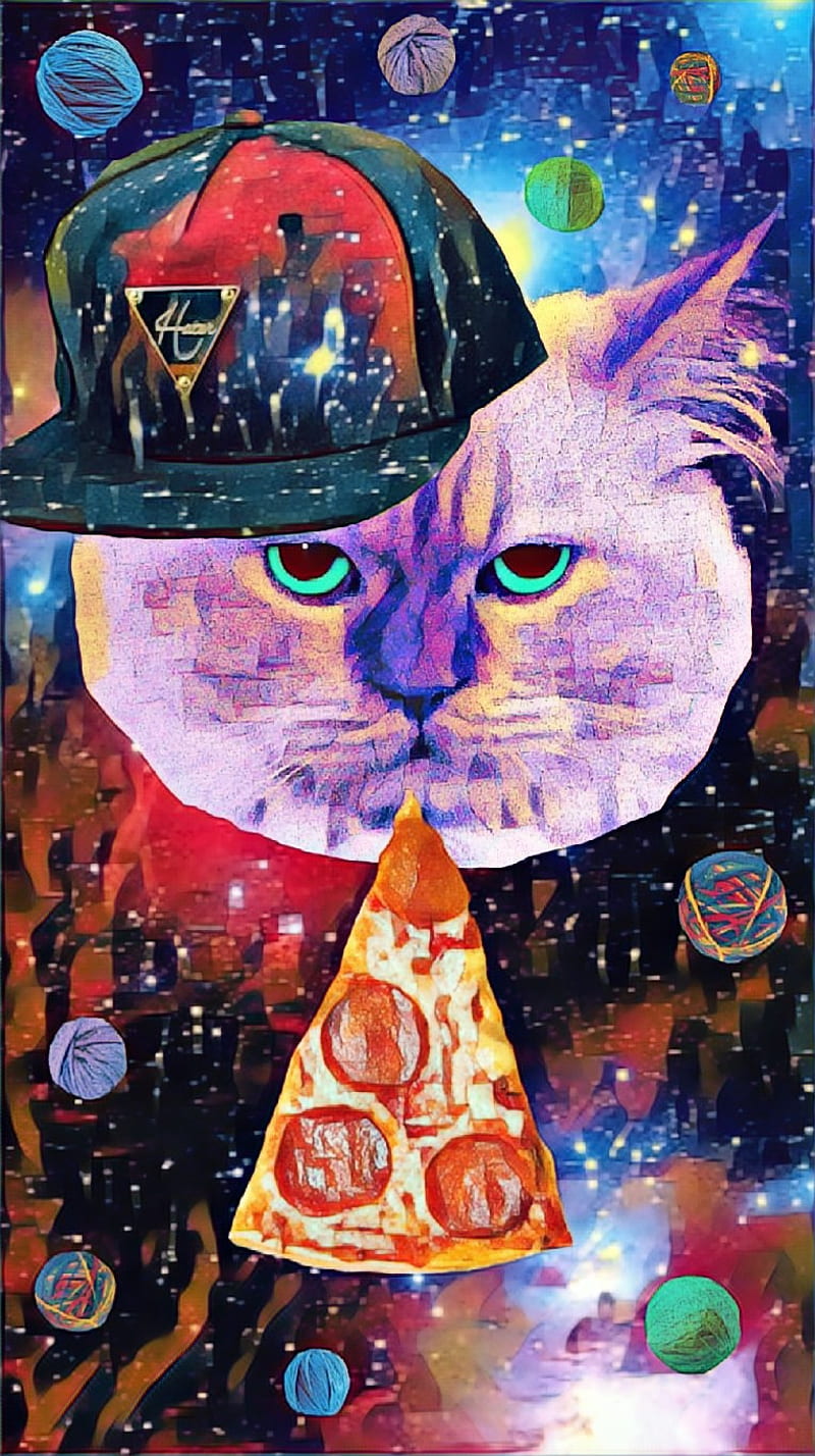 PIZZA CAT IN SPACE3, cool, galaxy, hat, kitty, purple, space, universe, yarn, HD phone wallpaper