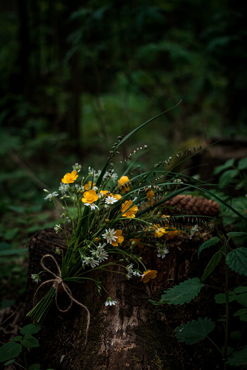 flowers, bouquet, wildflowers, forest, HD phone wallpaper