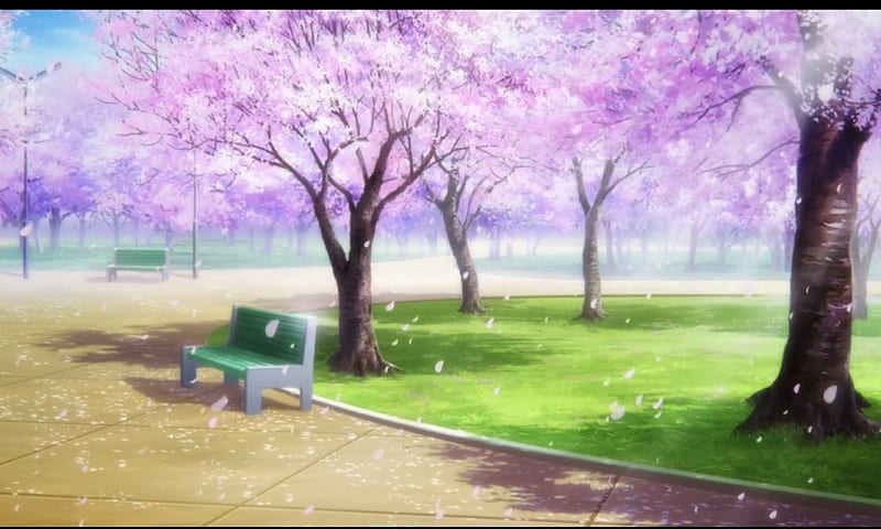 Hoa anh đào là biểu tượng của sự tươi trẻ và nữ tính, bên cạnh đó các bức tranh Anime Park còn thể hiện rõ ràng được sự thiên nhiên hoang sơ nhưng cũng đầy màu sắc của thiên đường này.