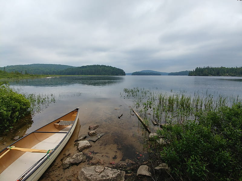 Algonquin park, canoe, lake, HD wallpaper