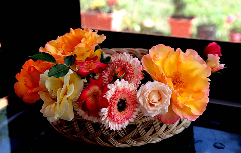 Canasta de flores, fresco, canasta, flor, naturaleza, diversión, Fondo