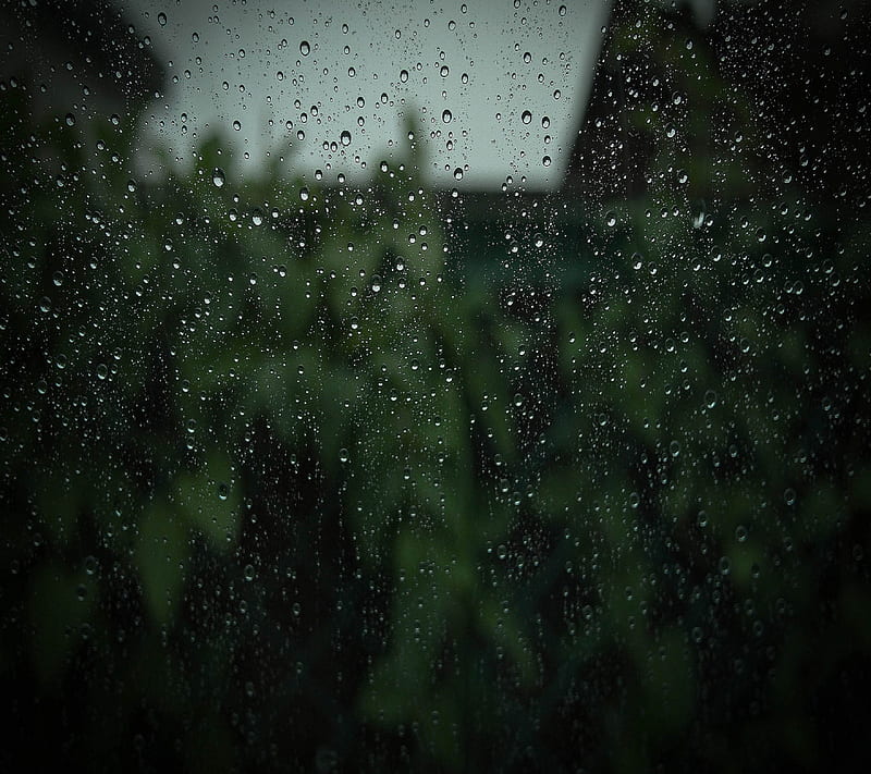 Rain, amazing, new, nice, rainy, water drops, HD wallpaper
