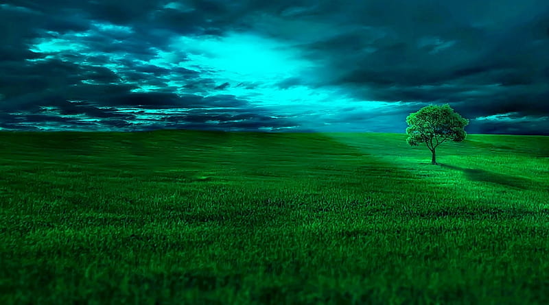 Heavenly, nature, sky, grass, lights, HD wallpaper