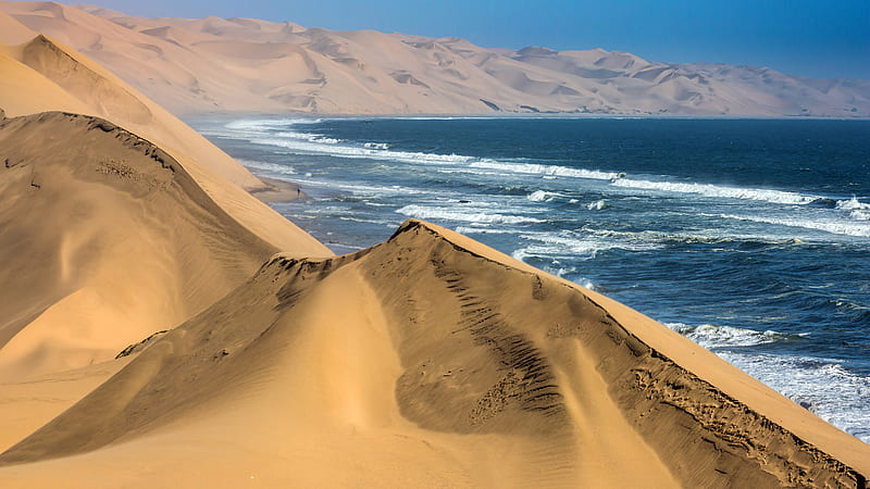 Landscape Of Desert Dune Namibia Ocean Sand Nature, HD wallpaper
