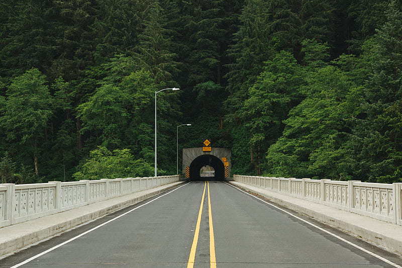 of road tunnel surrounded with trees, HD wallpaper
