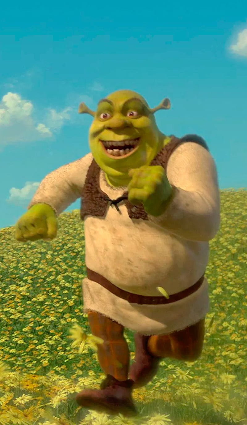 Shrek meme HD wallpaper