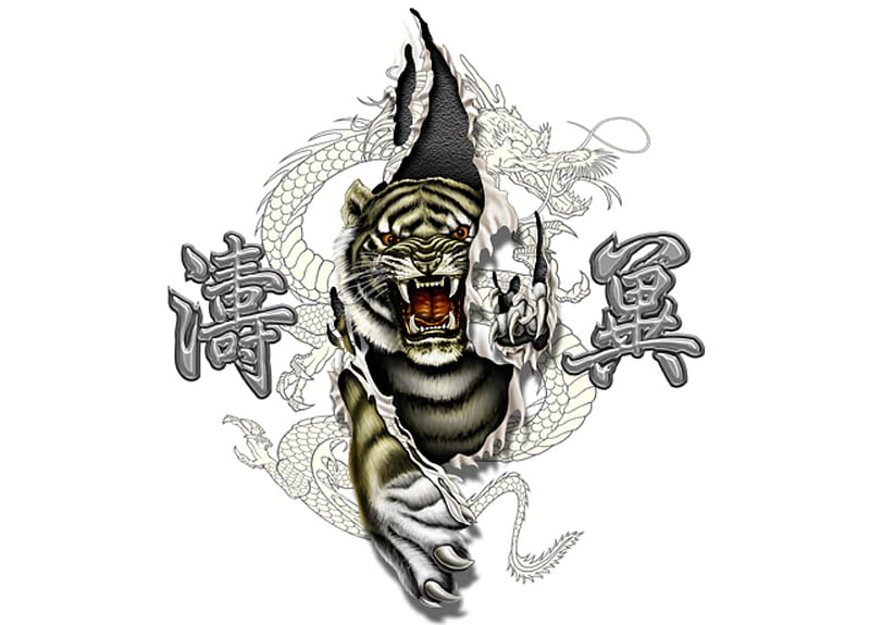 Tiger & Dragon, tiger, writings, dragon, white background, paws, rip, fangs, chinese writing, fur, teeth, animals, HD wallpaper