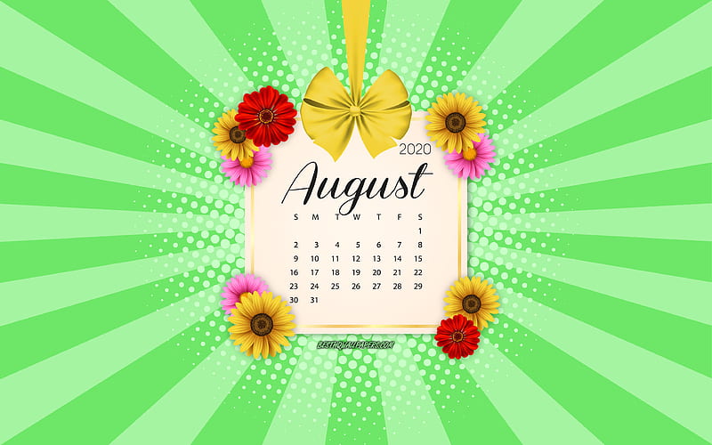 2020 August Calendar, green background, summer 2020 calendars, August, 2020 calendars, summer flowers, retro style, August 2020 Calendar, calendar with flowers, HD wallpaper