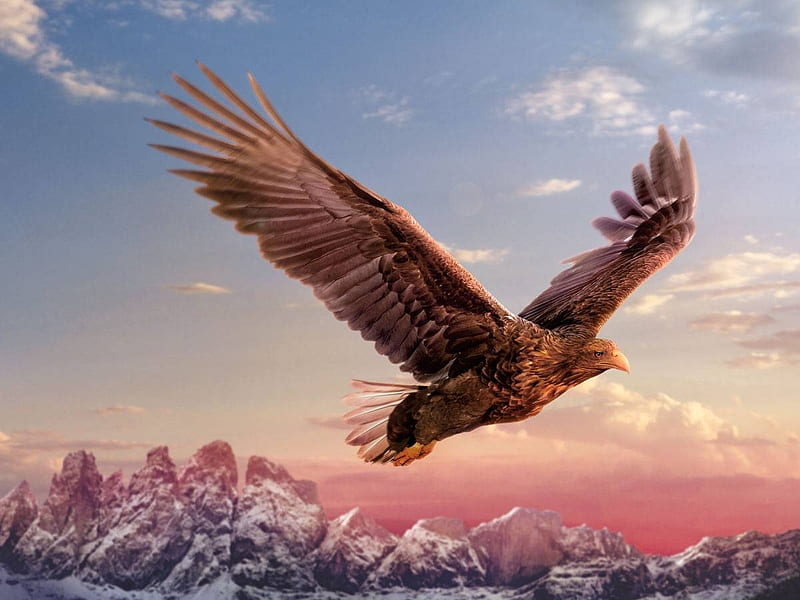 Golden Eagle, art, painting, eagle, sky, HD wallpaper