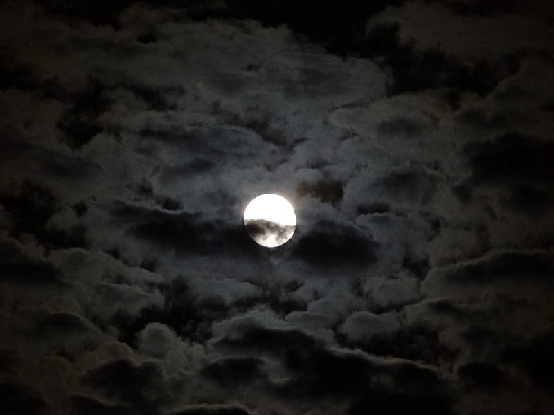 The Cloudy Moon, cloudy, moon, sky, night, HD wallpaper