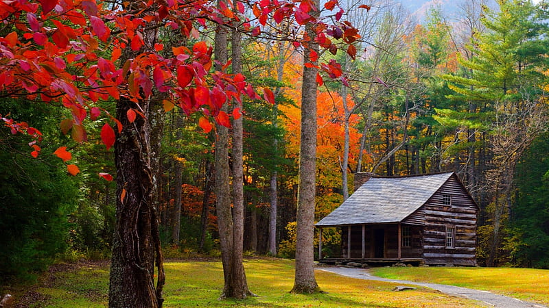 Log Cabin in Autumn Forest, Forests, Cabins, Autumn, Nature, HD wallpaper