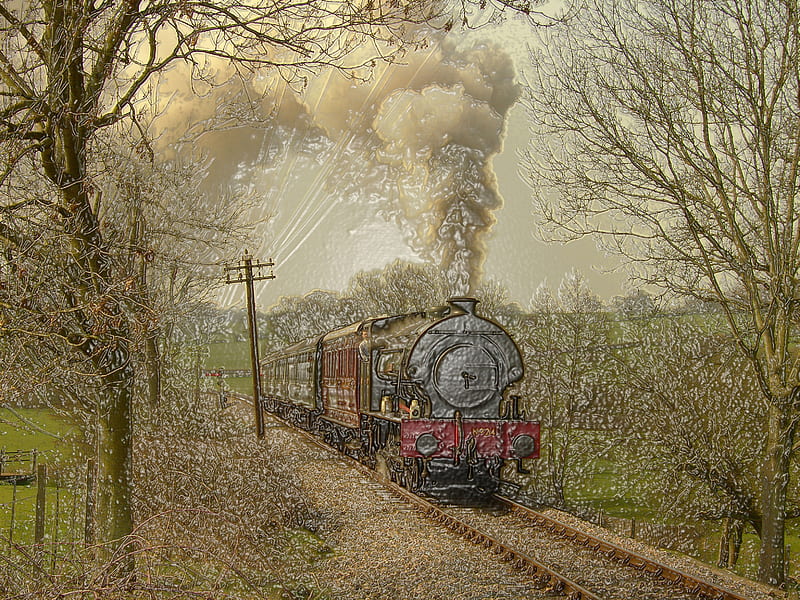 Steam Train, kent and east sussex railway, tenterden bank, winter, HD wallpaper
