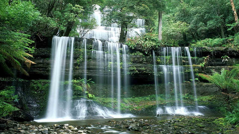 Waterfalls On Black Rocks Between Trees Covered Forest Beautiful, HD wallpaper