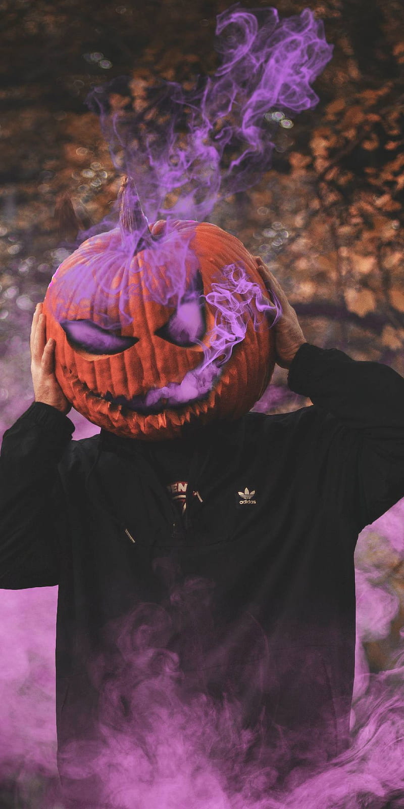Purple pumpkin, tail, plus, one, fairy, never, tone, smoke, samurai, settle, space, HD phone wallpaper