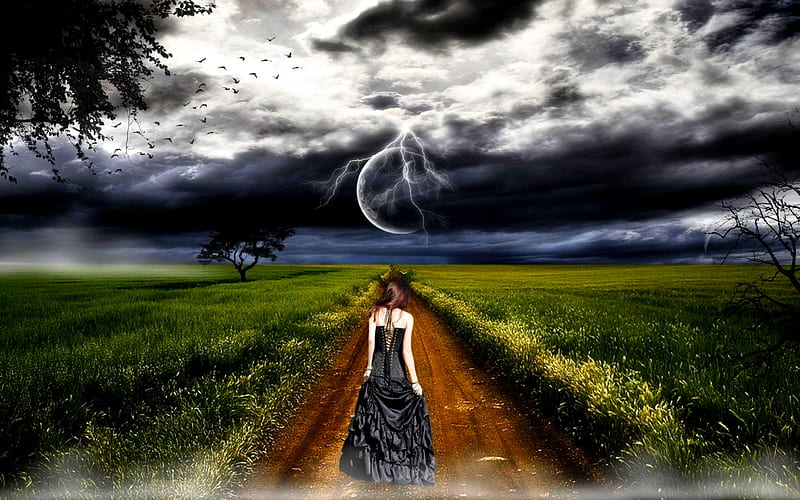 THIS LONG ROAD I TRAVEL, grass, long, travel, clouds, fog, i, moon, blackdress, road, birds, storm, tree, lightning, dark, plants, lady, field, HD wallpaper