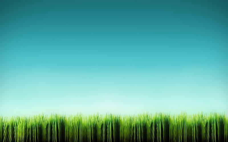 grass blades, nature, grass, HD wallpaper