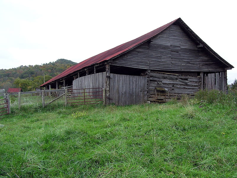 Livestock Barn, Building, Farms, Country, Architecture, HD wallpaper