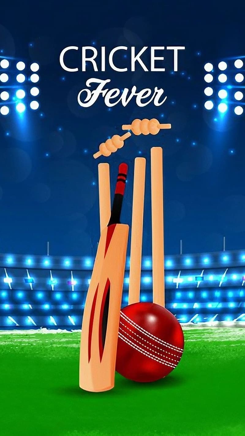 Cricket Match, Animated, cricket stadium, wicket stumps, HD phone wallpaper