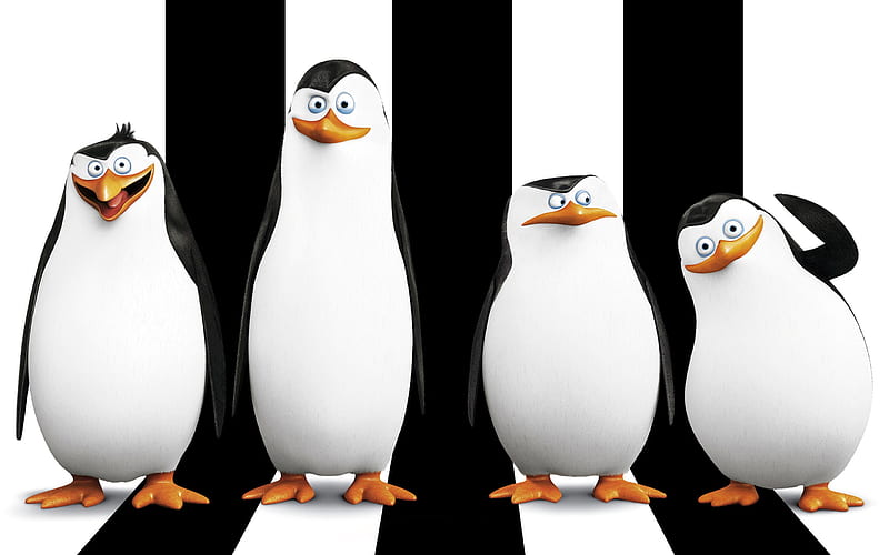 Penguins Of Madagascar Movie , madagascar, movie, cartoons, penguins, HD wallpaper