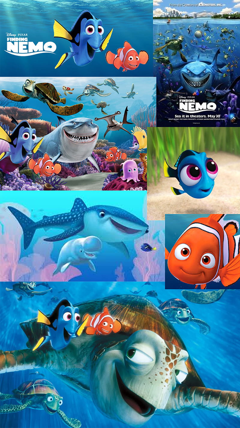Nemo, blue, blue, buscando, cartoon, dory, finding, fish, marlin, ocean, HD  phone wallpaper | Peakpx