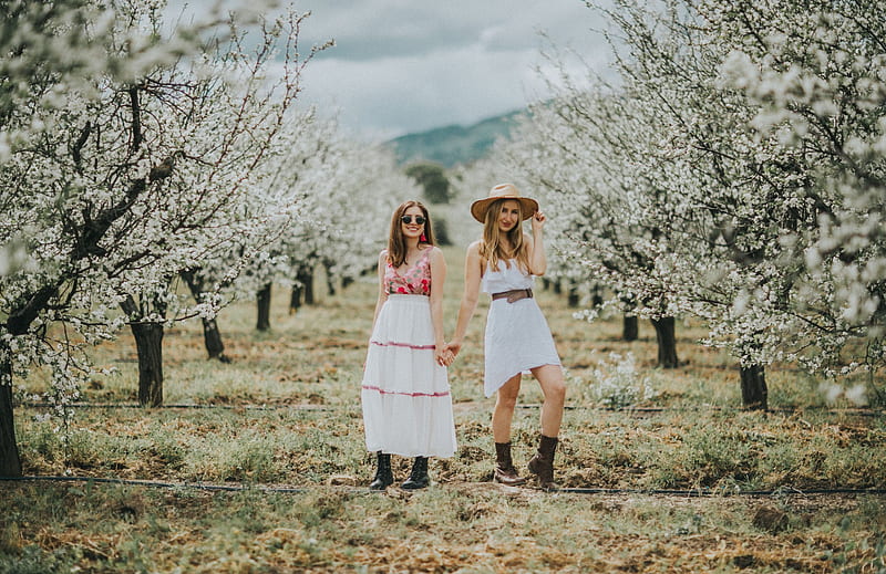 Almond Tree Orchard, hats, blondes, cowgirls, brunettes, boots, trees, HD wallpaper