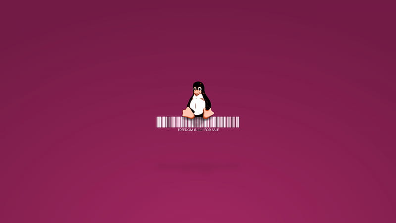 Linux Penguin, linux, penguin, computer, ubuntu, HD wallpaper