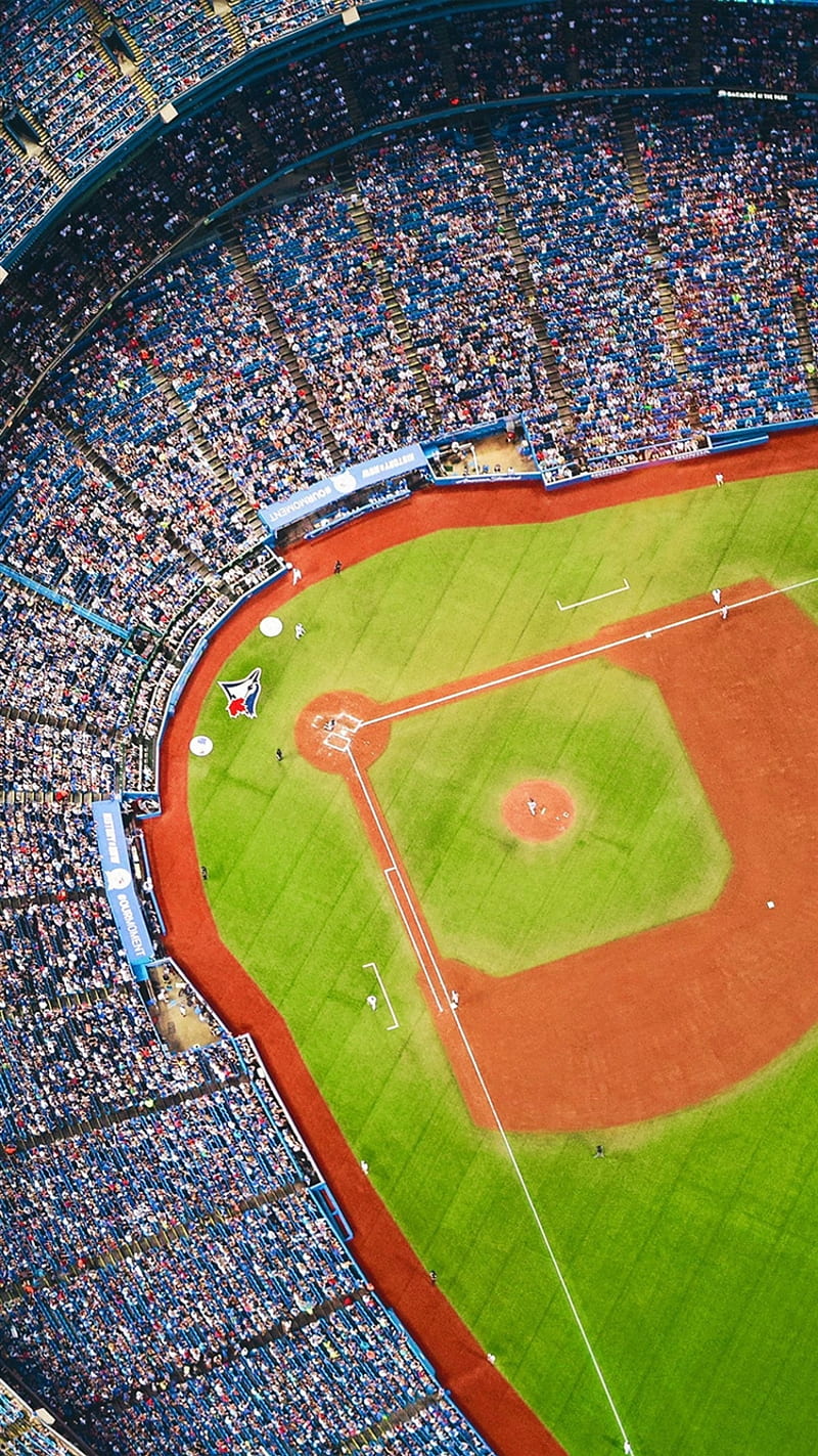 Béisbol, bluejays, campo, mlb, esports, Fondo de pantalla de teléfono HD |  Peakpx
