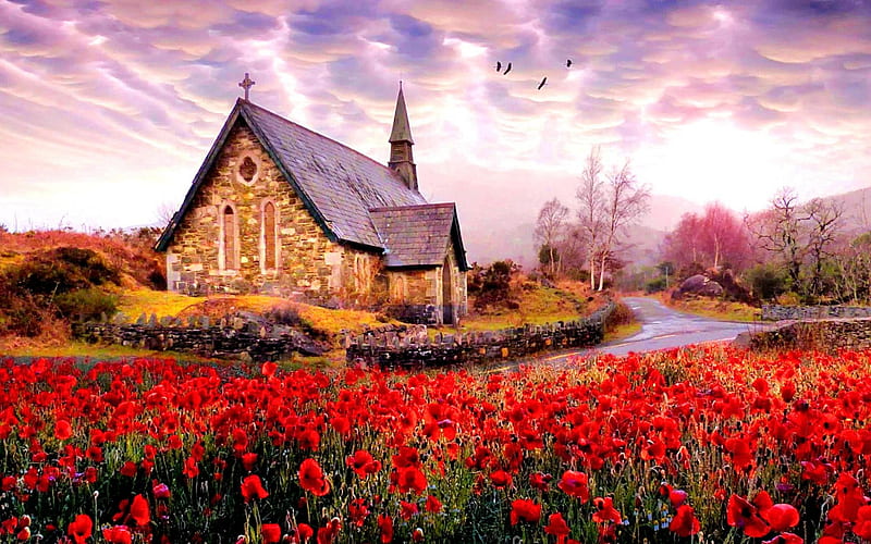 Derrycunnihy Church Killarney National Park, poppies, birds, road, trees, sky, clouds, HD wallpaper
