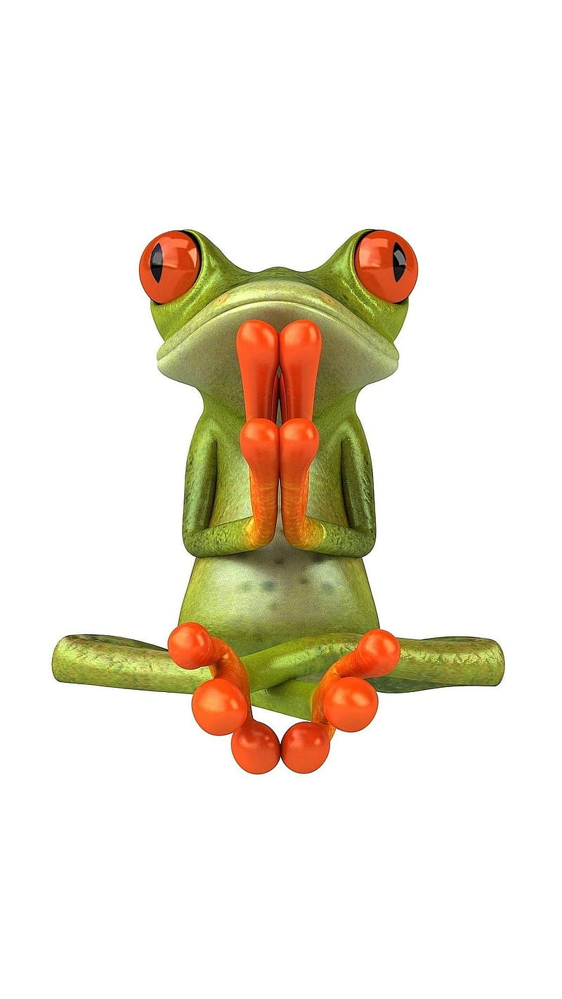 Cute Frog, praying, HD phone wallpaper