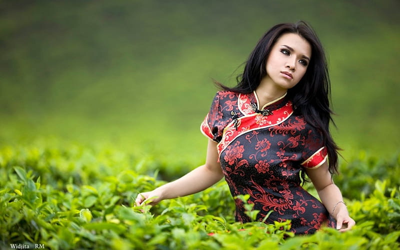 Asian beauty, asian, beauty, tea leaf, black hair, HD wallpaper