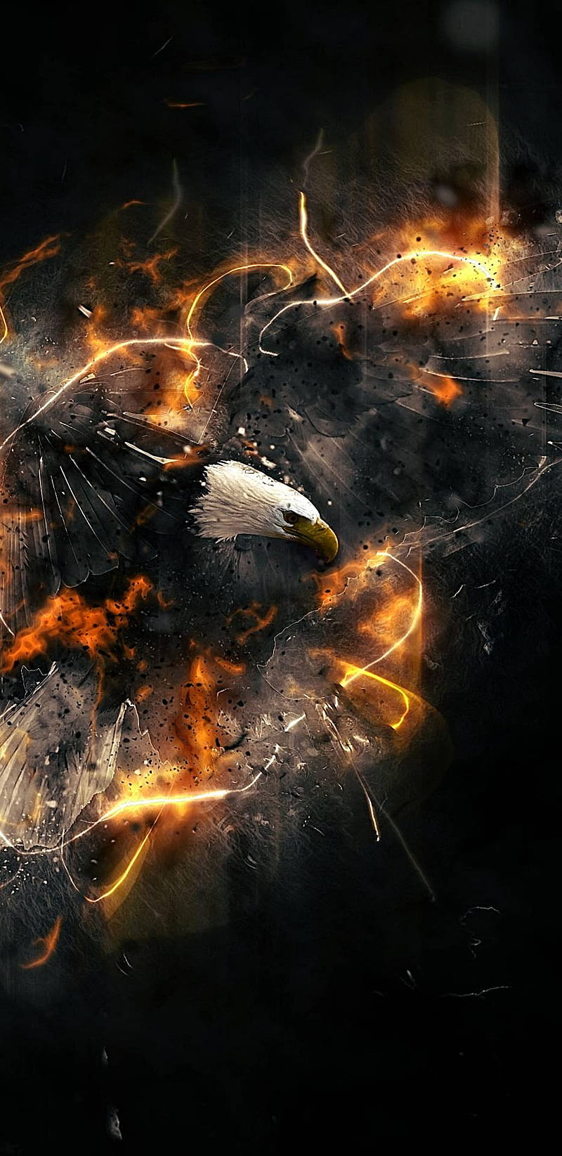Eagle, black, eagle fire, HD phone wallpaper