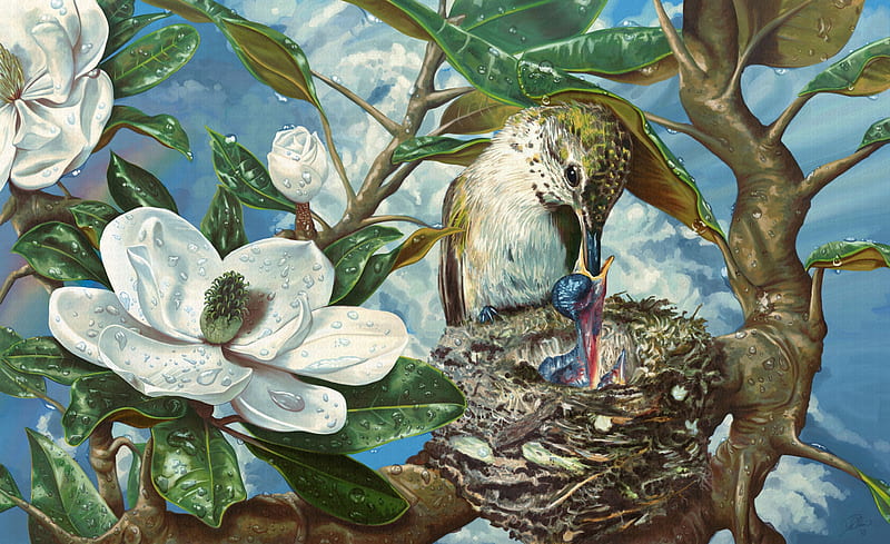 Post pluviam, colibri, art, magnolia, luminos, hummingbird, spring, cute, dustin wilson, green, nest, flower, pasari, white, blue, HD wallpaper