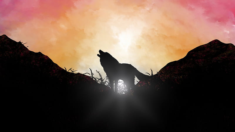 Fox Howling Sunrise , fox, artist, artwork, digital-art, minimalism, minimalist, HD wallpaper