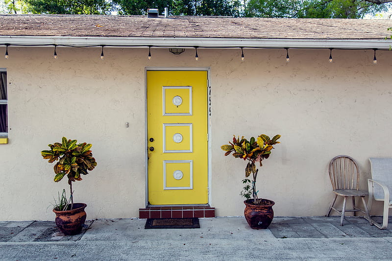 Yellow Door, city, door, florida, plant, sunny, vintage, yellow, HD wallpaper