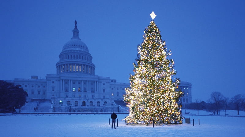 Capitol Christmas, washington dc, graphy, capitol, abstract, christmas trees, lights, HD wallpaper