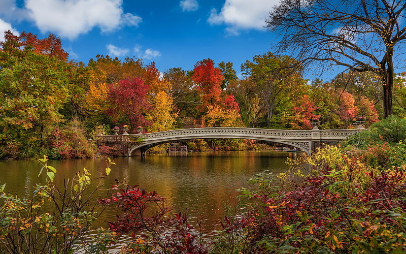 Man Made, Central Park, Bridge, Fall, New York, USA, HD wallpaper