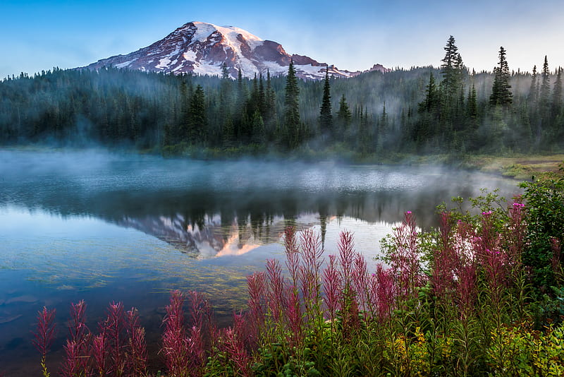 Mountains, Mount Rainier, Fog, Forest, Lake, Landscape, Mountain, National Park, USA, HD wallpaper