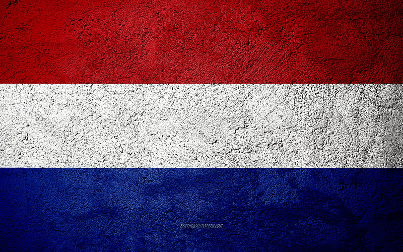 Flag of Netherlands, concrete texture, stone background, Netherlands flag, Europe, Netherlands, flags on stone, HD wallpaper