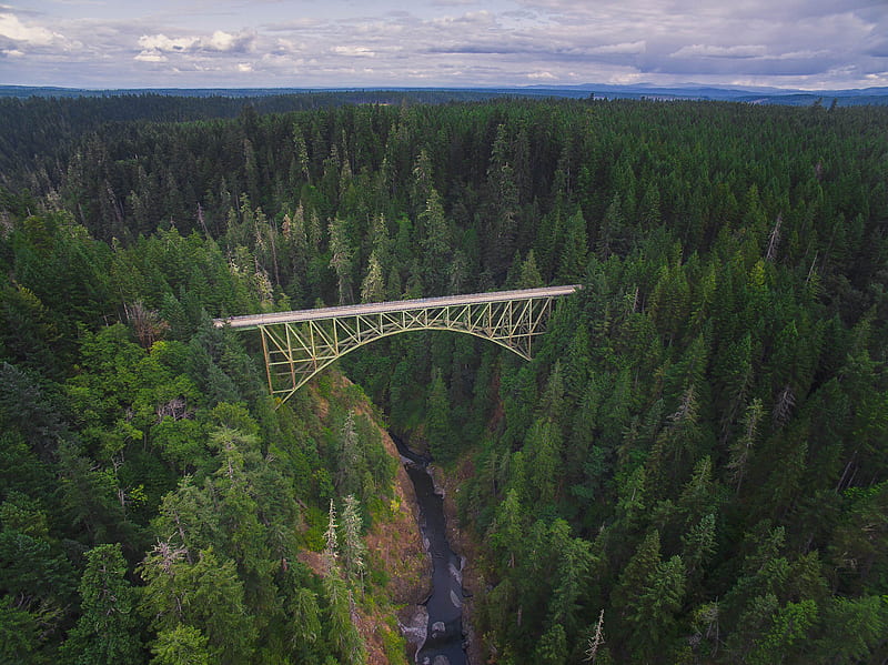 aerial graphy of white bridge surrounded with green trees during daytime, HD wallpaper