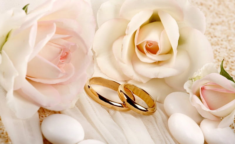 Wedding ring, flowers, roses, ring, wedding, HD wallpaper