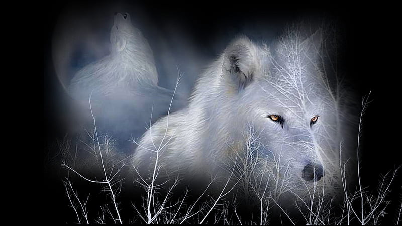 Wolf Winter Collage, Firefox theme, lobo, moon, snow, wolf, wolves, winter, loup, HD wallpaper
