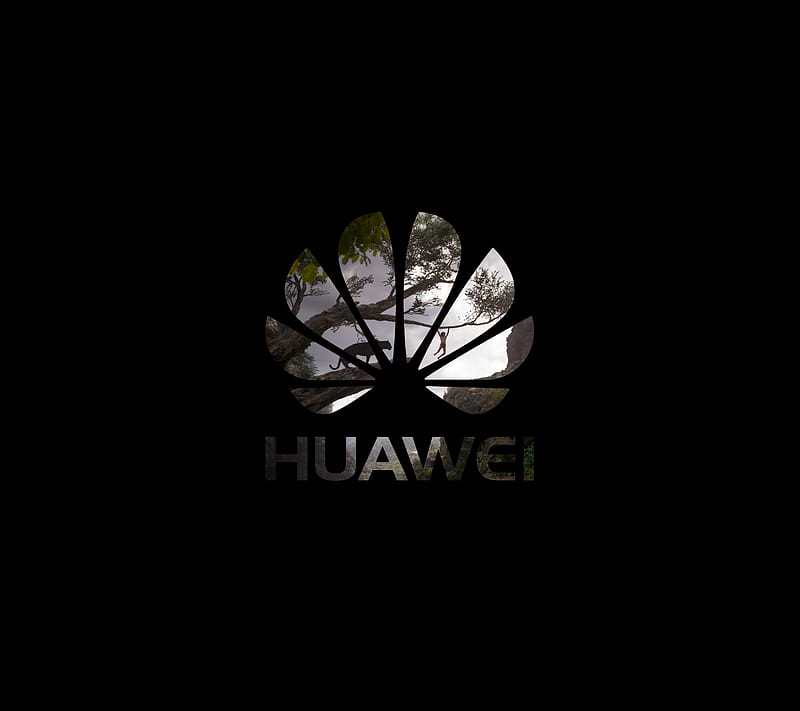 HUAWEI Style 01, black, cool, dr, love, nature, HD wallpaper