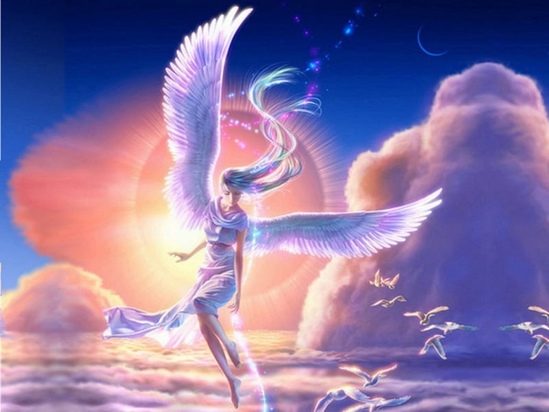 Angel, cloud, luminos, sky, fantasy, girl, bird, pink, blue, HD ...