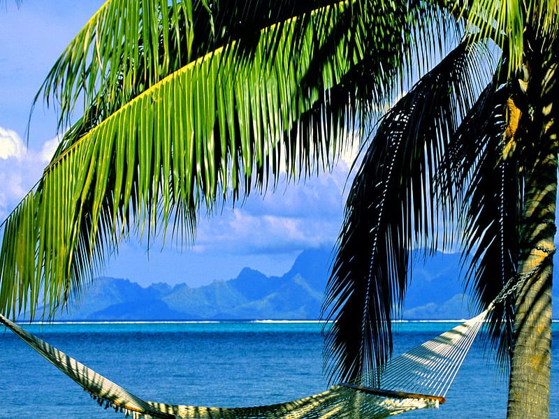 Inviting hammock, shore, inviting, bonito, hammock, clouds, sea, palm trees, beach, mountain, horizons, invite, tropics, blue, exotic, ocean, sky, palms, peaceful, summer, nature, tropical, sands, HD wallpaper