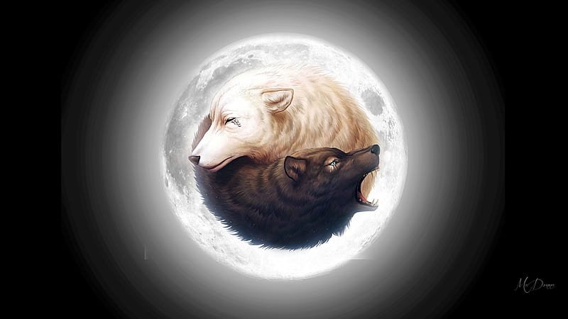 Yin Yang Wolves, difference, black, good, full moon, wild, bad, wolf, wolves,  HD wallpaper | Peakpx
