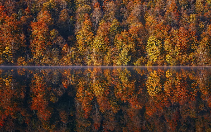 beautiful lake, autumn, fog, morning, yellow red forest, Franche-Comte, France, HD wallpaper