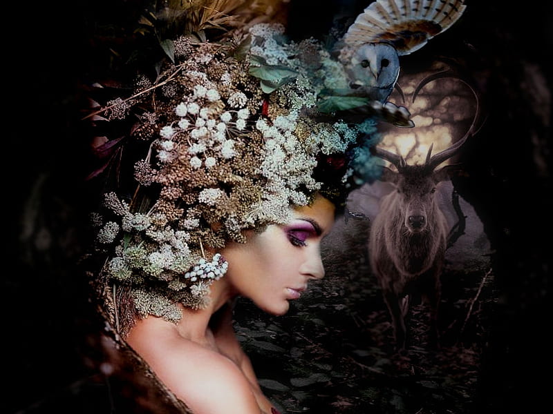 Ethereal Forest Queen, female trendsetters, forest, owl, buck, women are special, stag, lips nails eyes hair art, enchanted forest, deer, Viaggio Magico, etheral women, bird, enchanted, HD wallpaper