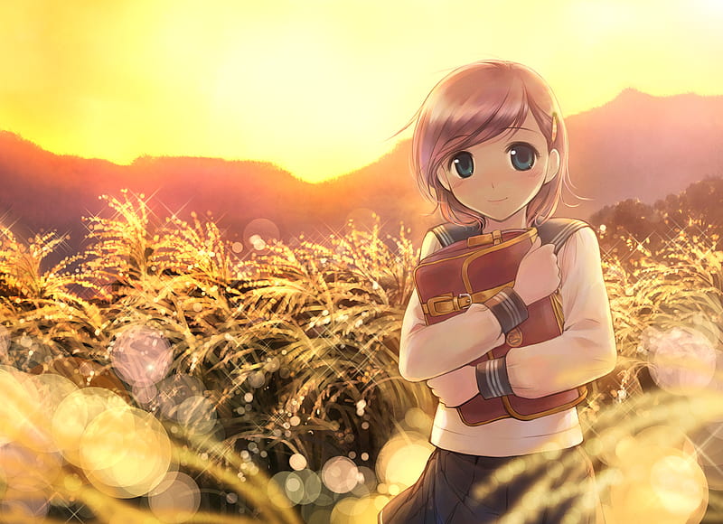 My Treasure, pretty, girl, grass, anime, mountains, anime girl, sunset, HD wallpaper