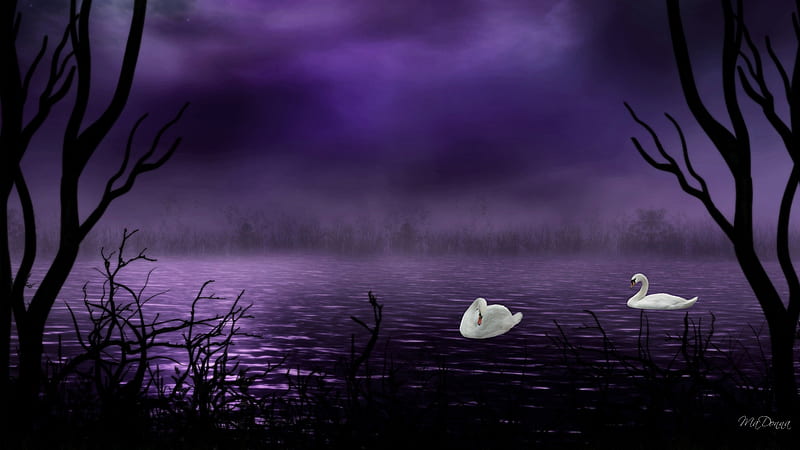 Purple Mist, foggy, firefox persona, trees, sky, fog, swans, goth, gothic, misty, night, HD wallpaper