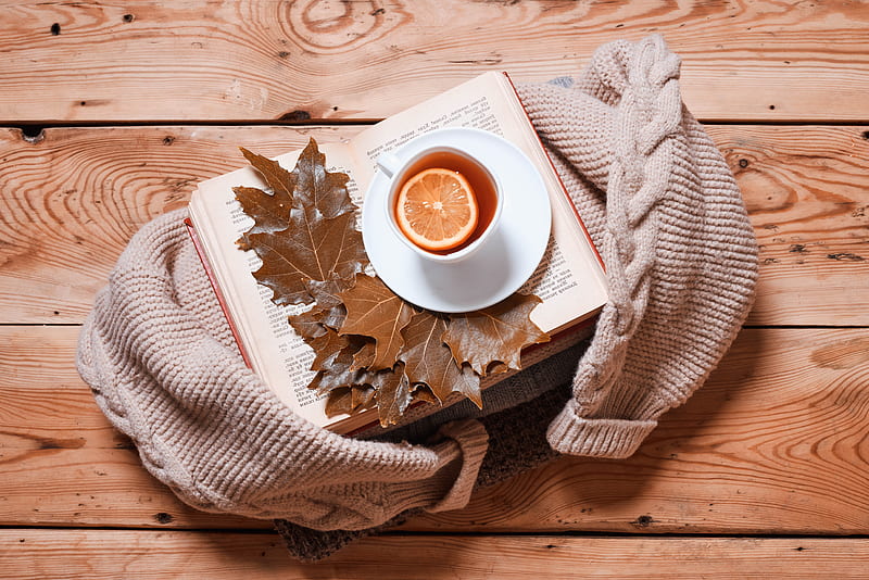 tea, lemon, cup, book, autumn, cozy, HD wallpaper